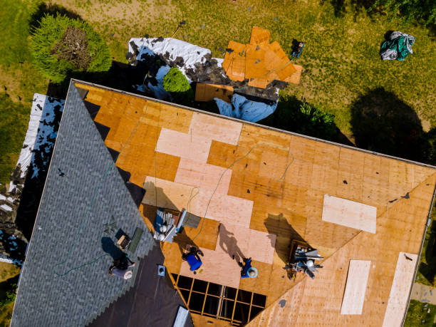 Quick and Trustworthy Emergency Roof Repair Services in Livingston, LA